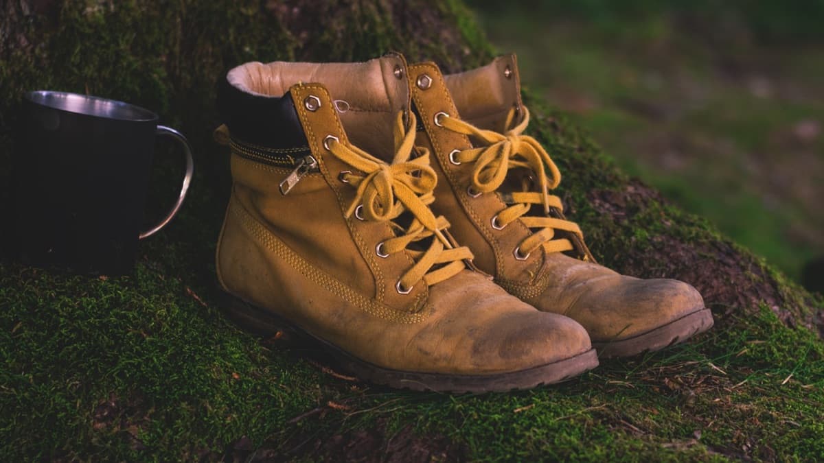 Best Hiking Boots For Women 2024 – Reviews & Buying Guide